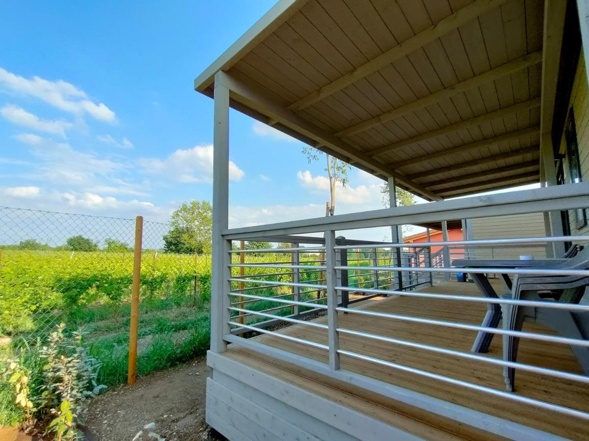 Garda Di Vino Agricamping & Wine Shop Lazise Ronchi  Eksteriør billede