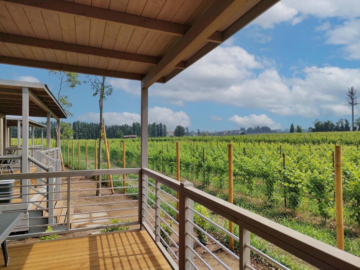 Garda Di Vino Agricamping & Wine Shop Lazise Ronchi  Eksteriør billede